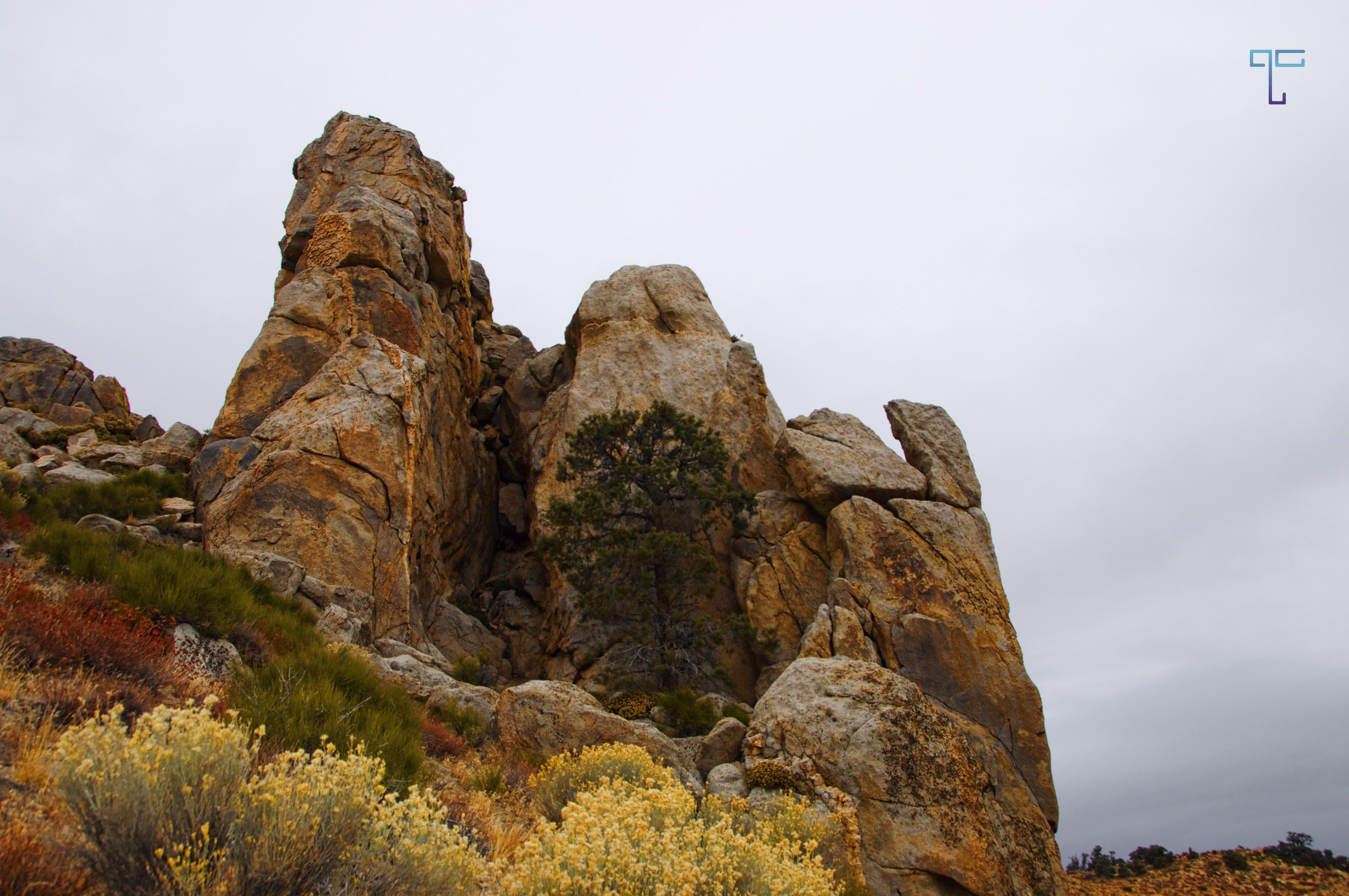 climbing the rocks